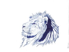Timothy
