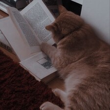 Mon