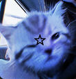 evie :)