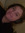 izzy (infinityizz) | 1 comments