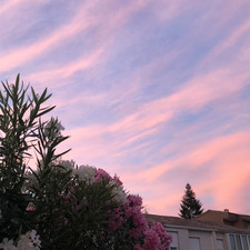 candela ☽ ﹒ ˖  ݁ ♡︎