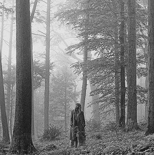 elle (taylor’s version)