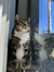 Alexand...
