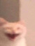 worm