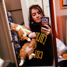 Kiwi ૮ ˶ᵔ ᵕ ᵔ˶ ა