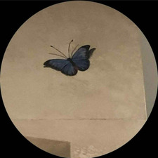 Fatimah’s Readings