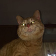 Bethe