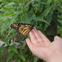 Robin Spencer-Parcell