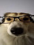 Jeff ⠀