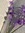 Assil | 2 comments