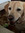 Edith