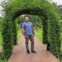 আনোয়ার হোসেন