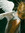 né | 2 comments