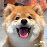 Xuan Tran