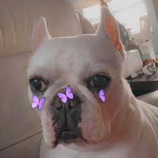 Payton