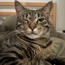 Al