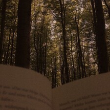 Someone from nowhere 