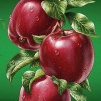 Dr-Abdelkader Soltani