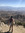 Marilena
