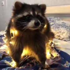 Precious