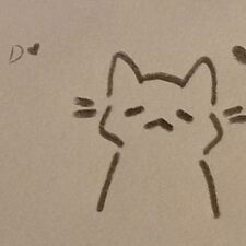Cai