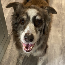 Jamie Joeyen-Waldorf