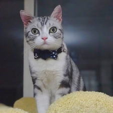 fiona