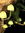 member photo member photo