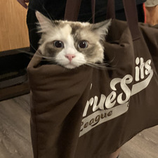 Стела Динева