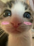 Ashe Q