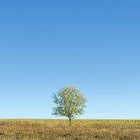 Федор Целуйко