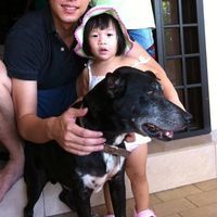 Royce Cheah