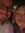 member photo member photo