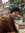 Danylo | 1 comments