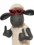 Shaun E...