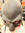 Sasha D | 1 comments