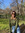 Aylen F...
