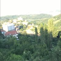 راصد ومراقب