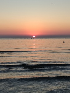 carm(taylor's version)