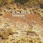 Miguel Andréu Carayol