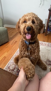 Maggie Murphy