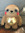 Alfie W...