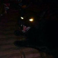 Лилия Матева