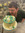 Michael Jones