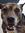 Sookie
