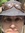 member photo member photo