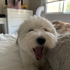 Sam