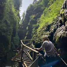 Jasmijn (Taylor’s version)