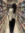 alvina | 4 comments