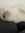 cosmi